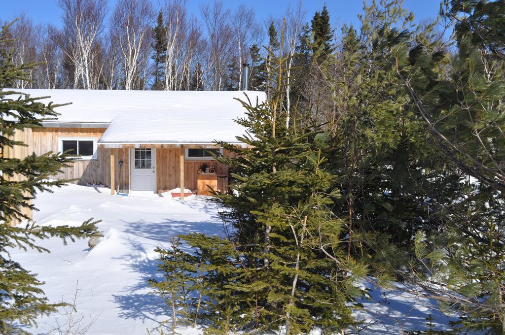 The Sleeping Moose Cottage Birch Plain Εξωτερικό φωτογραφία