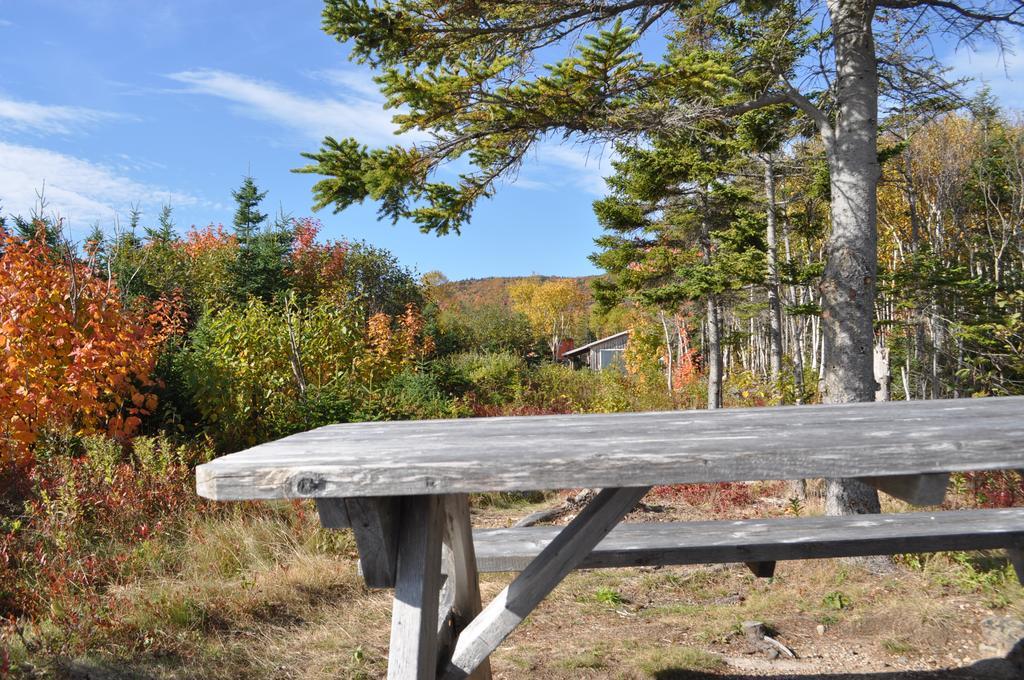The Sleeping Moose Cottage Birch Plain Εξωτερικό φωτογραφία