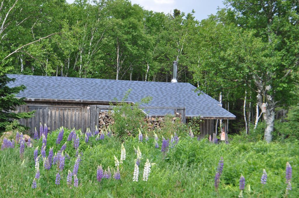 The Sleeping Moose Cottage Birch Plain Εξωτερικό φωτογραφία