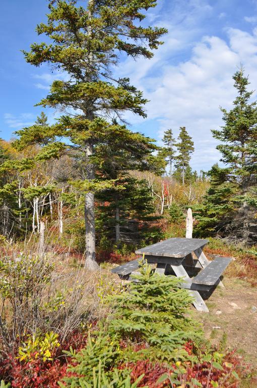 The Sleeping Moose Cottage Birch Plain Εξωτερικό φωτογραφία