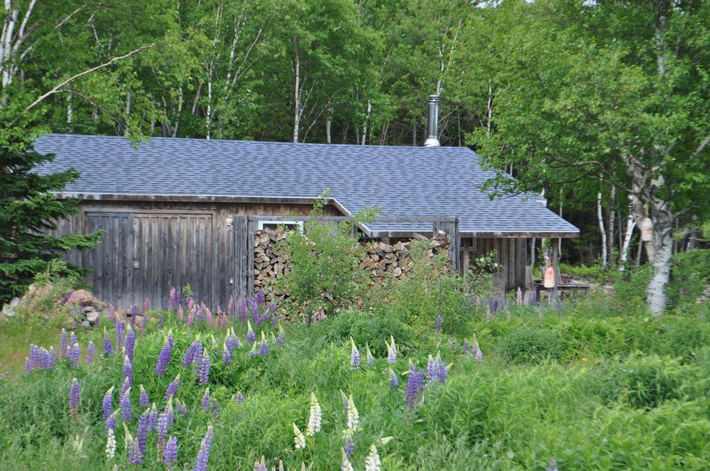 The Sleeping Moose Cottage Birch Plain Εξωτερικό φωτογραφία