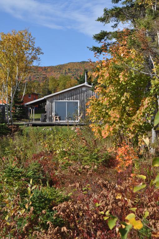 The Sleeping Moose Cottage Birch Plain Εξωτερικό φωτογραφία