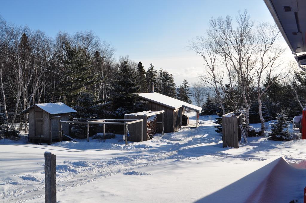 The Sleeping Moose Cottage Birch Plain Εξωτερικό φωτογραφία